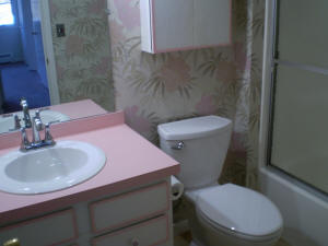 Vanity and more